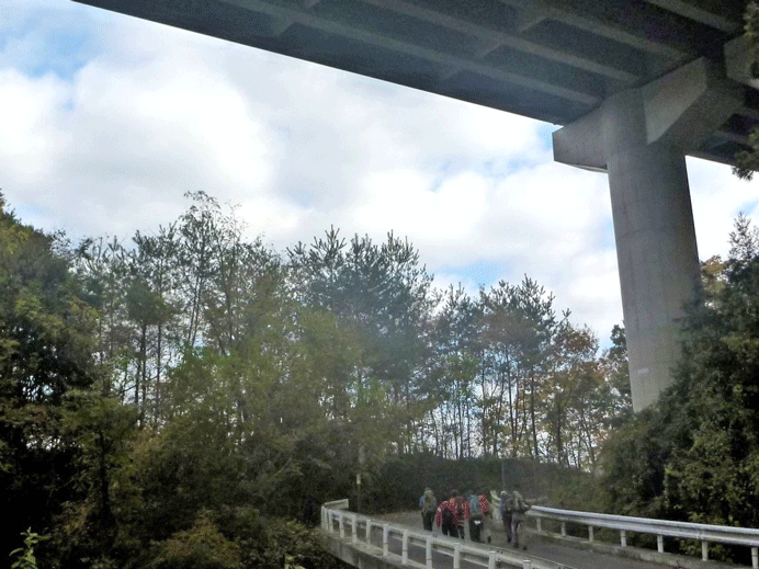 e0371039_1002937.gif
