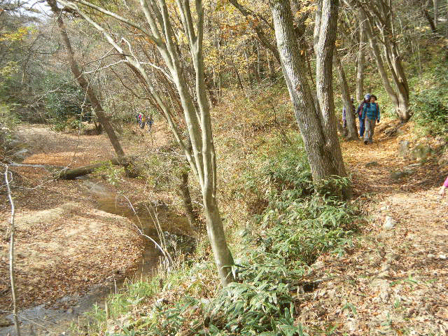 e0371039_9593732.gif