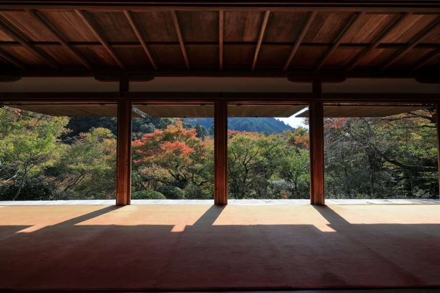紅葉の高雄 高山寺 ぴんぼけふぉとぶろぐ2 紅葉の高雄 高山寺 ぴんぼけふぉとぶろぐ2