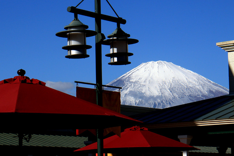 冠雪の富士山を見ながら_f0380240_11495730.jpg