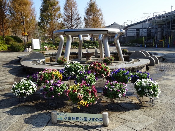b0299042_22594024.jpg