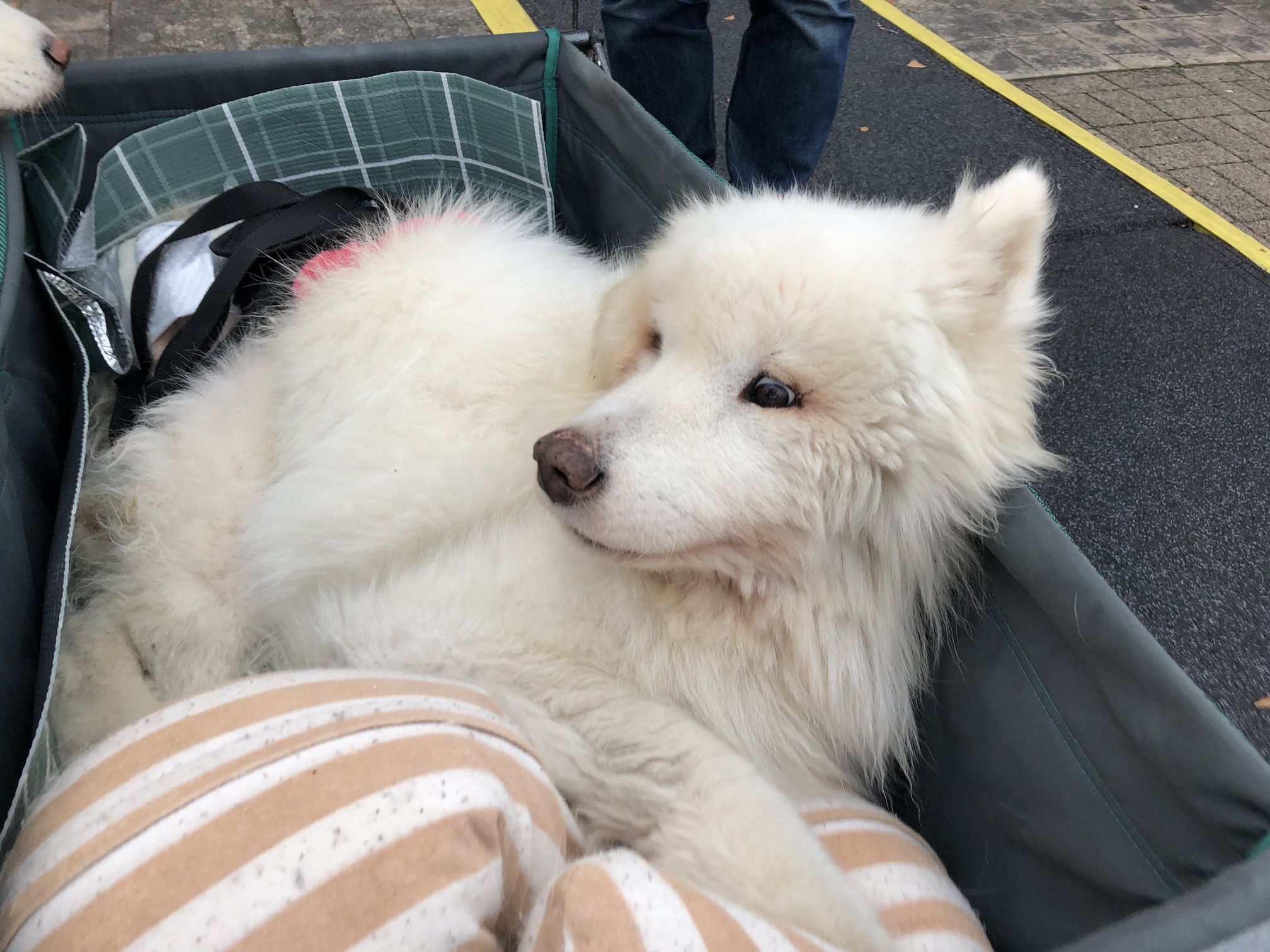 2018年秋 みちのく旅行 その3_f0128542_02560399.jpg