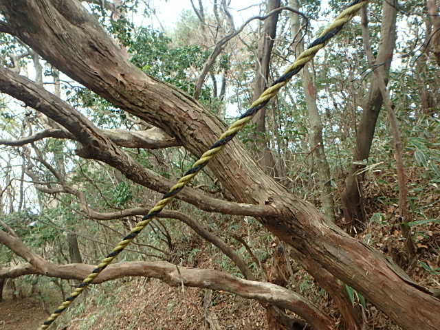 f0334143_9165235.jpg