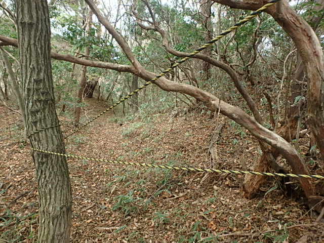 f0334143_9175059.jpg