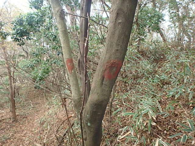 f0334143_9201890.jpg