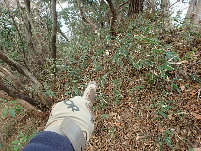 f0334143_920247.jpg