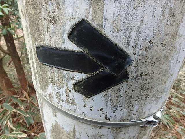 f0334143_9214591.jpg
