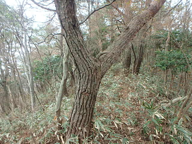 f0334143_9221925.jpg