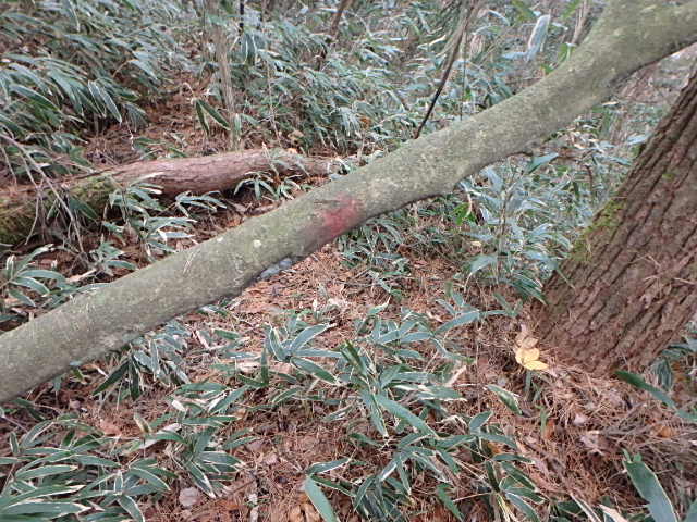 f0334143_9234658.jpg