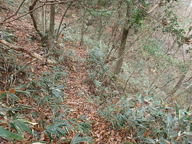 f0334143_9235933.jpg