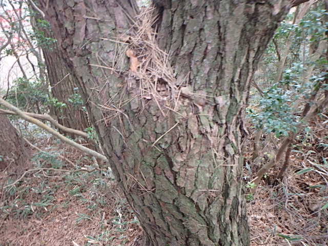 f0334143_927199.jpg