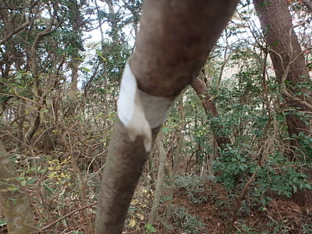 f0334143_9283348.jpg