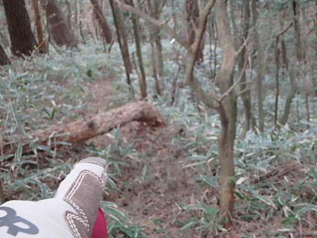 f0334143_9293045.jpg