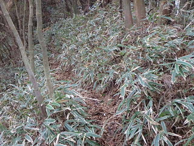 f0334143_9302585.jpg