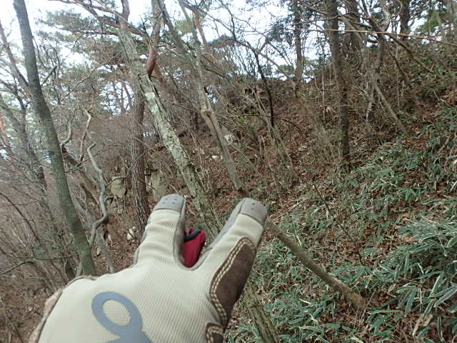 f0334143_932996.jpg