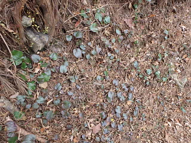 f0334143_9333142.jpg
