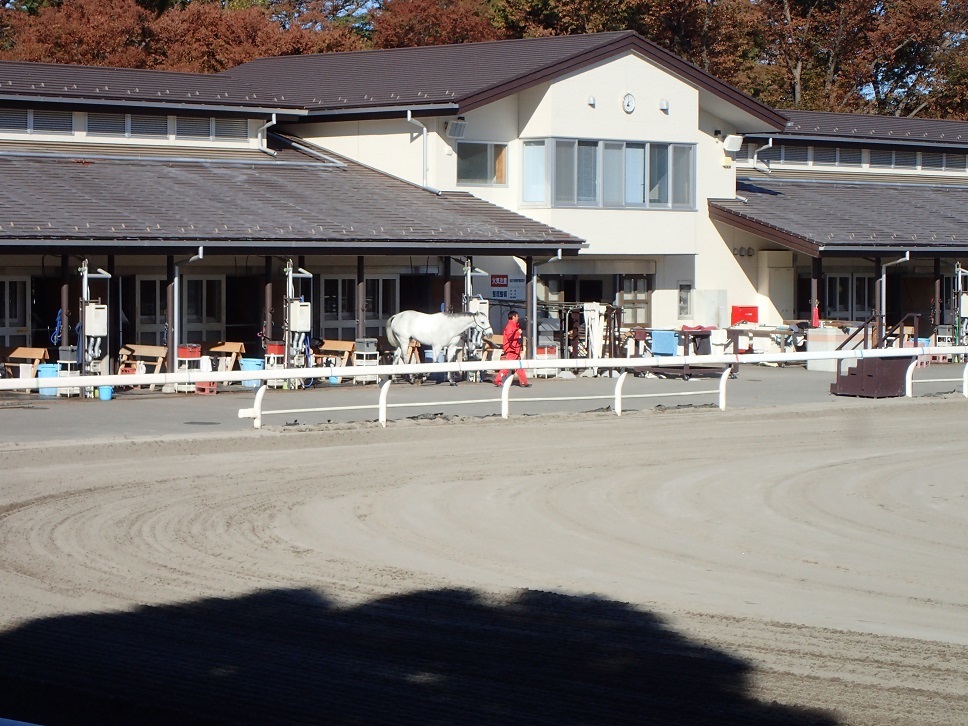 e0128144_05364069.jpg