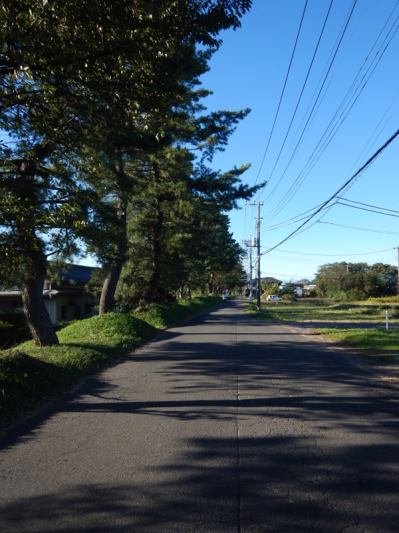 b0136045_18482368.jpg