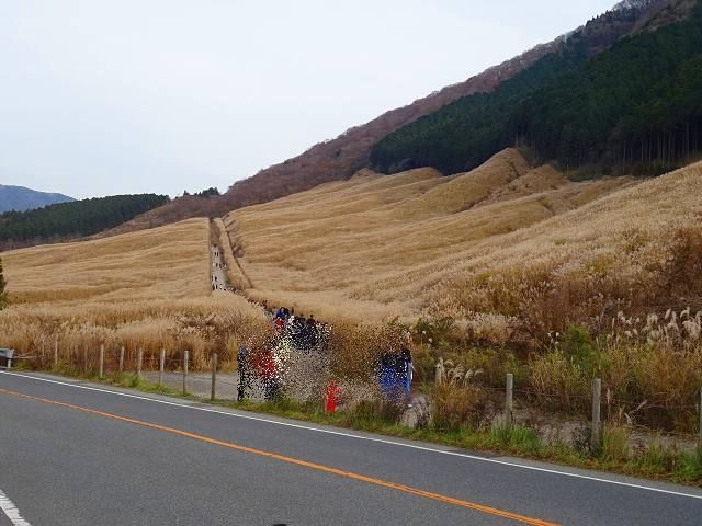 d0131847_14420139.jpg