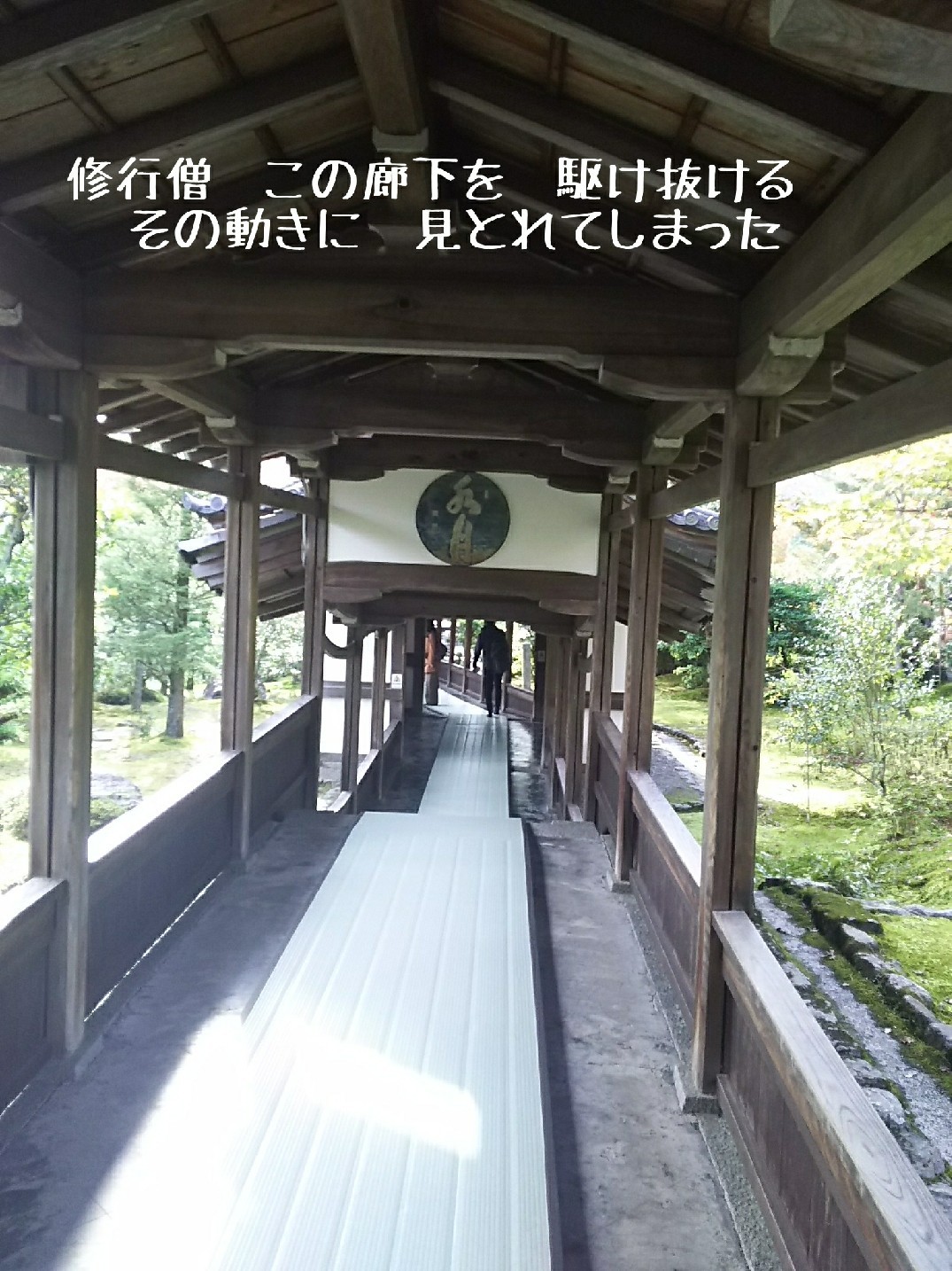 c0134850_10005118.jpg