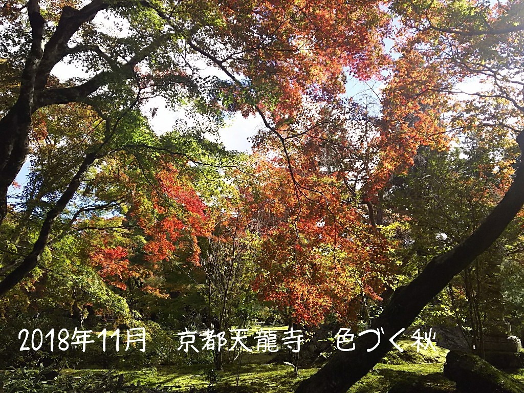 c0134850_10014762.jpg