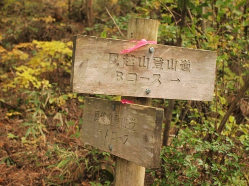 b0319255_12151494.jpg