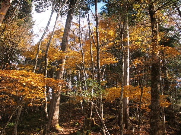b0319255_13233284.jpg