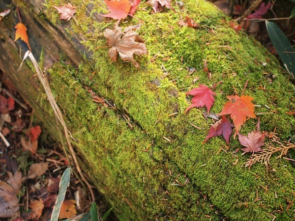 b0319255_14035708.jpg