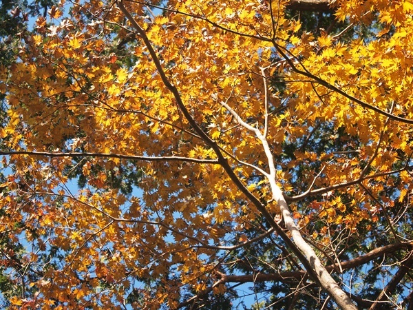 b0319255_19335721.jpg
