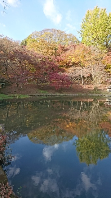 e0372959_12563799.jpg