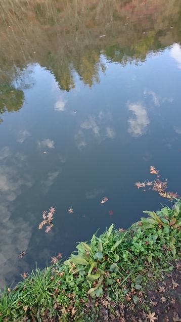 e0372959_12574170.jpg