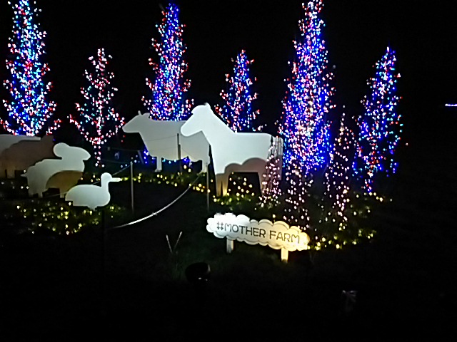f0000262_2333417.jpg