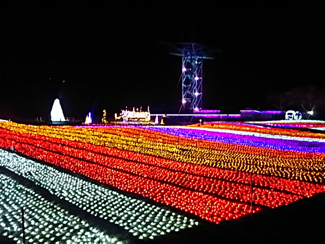 f0000262_2333424.jpg