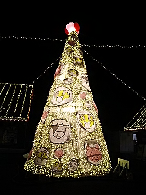 f0000262_2333487.jpg