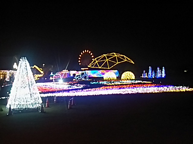 f0000262_23375015.jpg