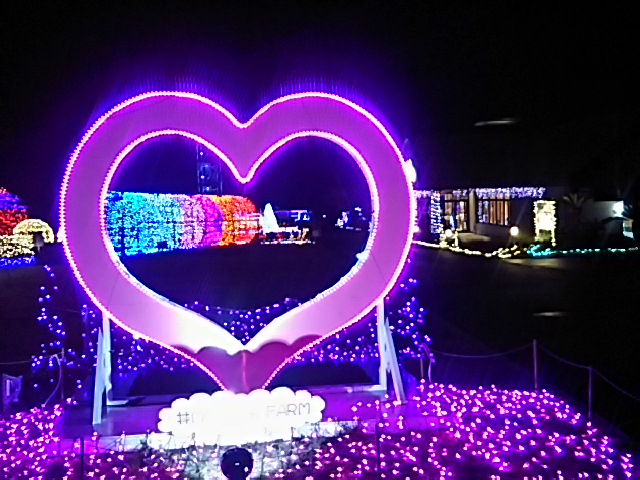 f0000262_23375018.jpg