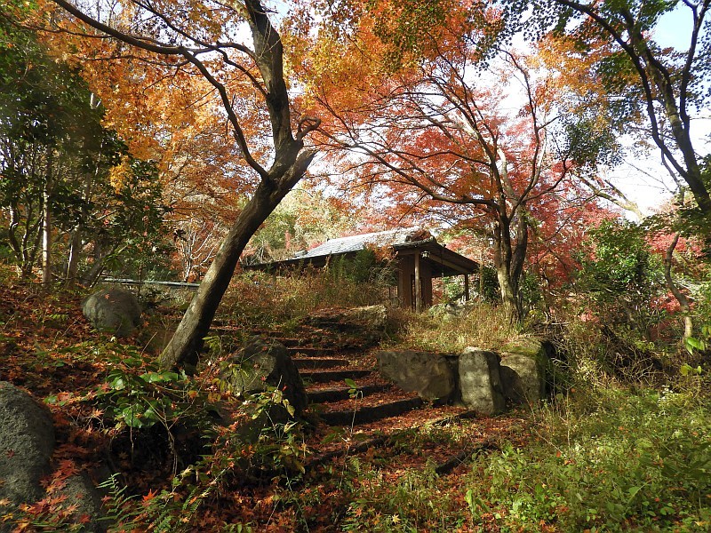 f0378979_19134114.jpg