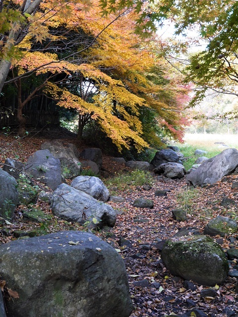 a0147281_21493801.jpg