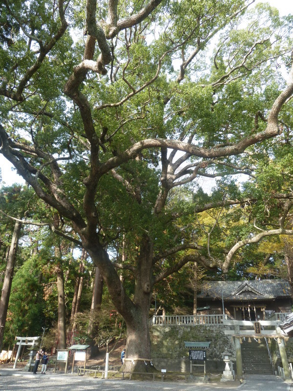b0095981_05073953.jpg
