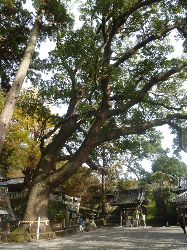 b0095981_05075598.jpg