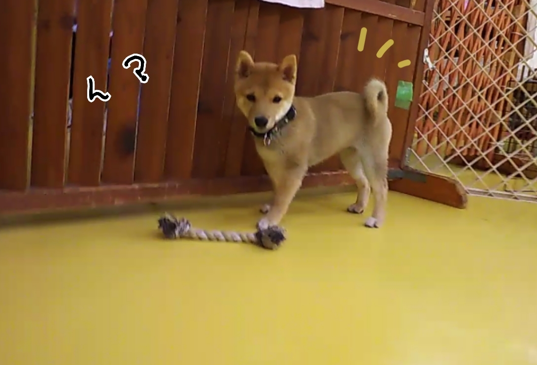 トレーニングブログ_f0357682_21081134.jpg