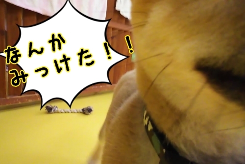 トレーニングブログ_f0357682_21105234.jpg