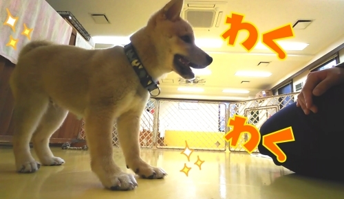 トレーニングブログ_f0357682_21131918.jpg