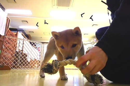 トレーニングブログ_f0357682_21152613.jpg