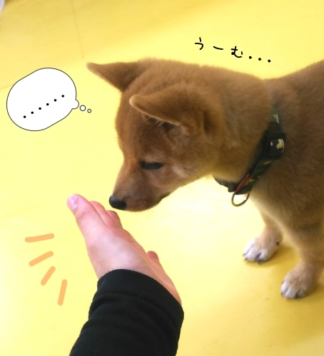 トレーニングブログ_f0357682_21221081.jpg