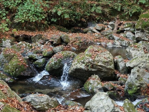 d0098183_16364171.jpg