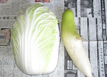 f0003283_18203510.jpg