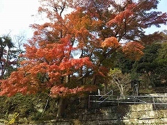 f0017185_21314163.jpg