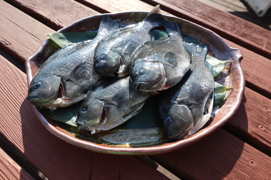 f0220087_23071873.jpg