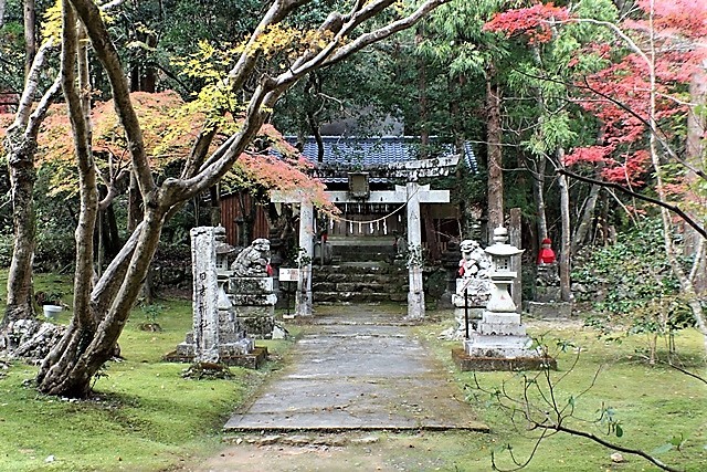 d0181492_23470075.jpg